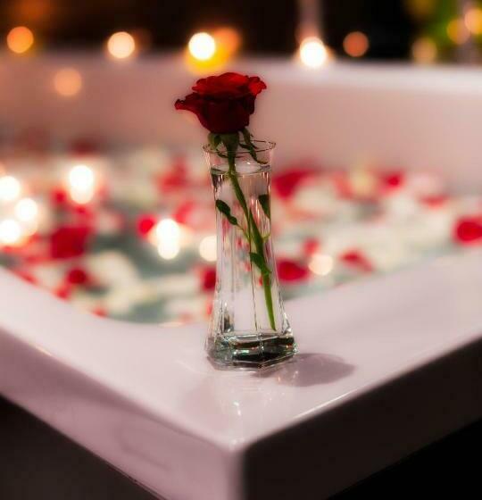 اتاق سوپریور با چشمانداز شهر, Sofitel Algiers Hamma Garden