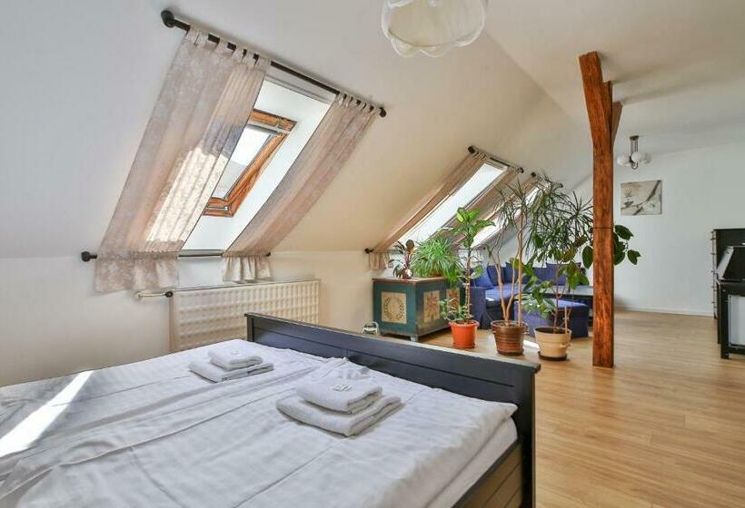 Пентхаус Люкс, Pension Dáša