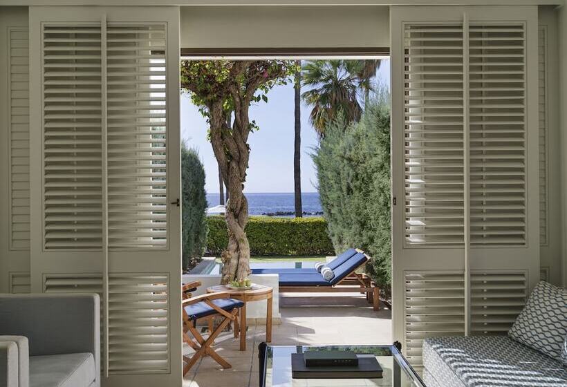 חדר סטודיו סטנדרד, Annabelle