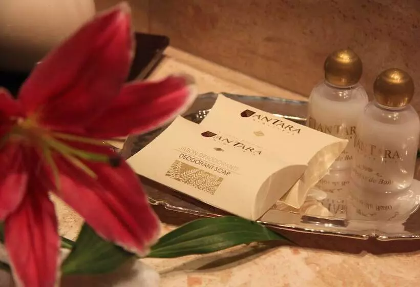エクゼクティブスイート, Antara Hotel & Suites   Miraflores