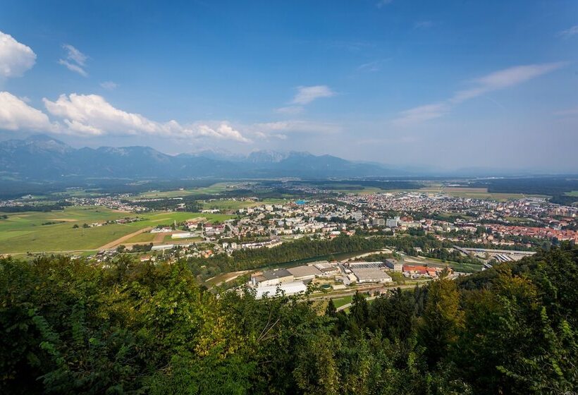 اتاق اکونومی یک تخته, Bellevue