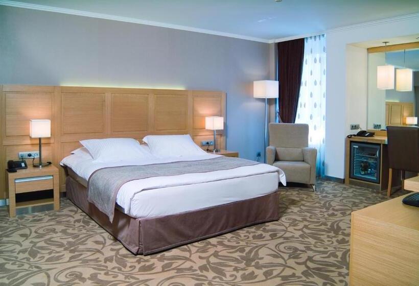 اتاق استاندارد, Bilkent Hotel And Conference Center
