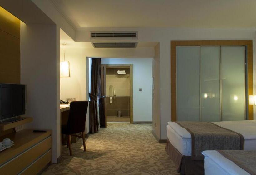 اتاق استاندارد برای معلولان, Bilkent Hotel And Conference Center