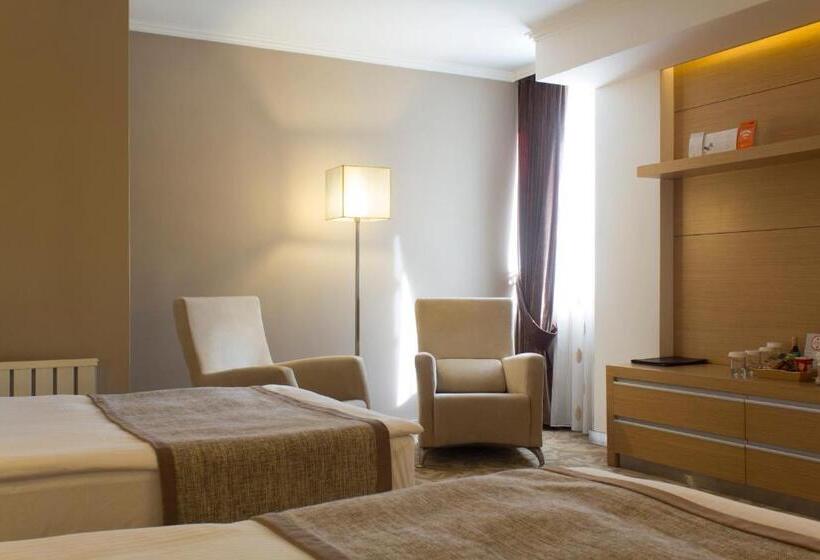 اتاق استاندارد برای معلولان, Bilkent Hotel And Conference Center