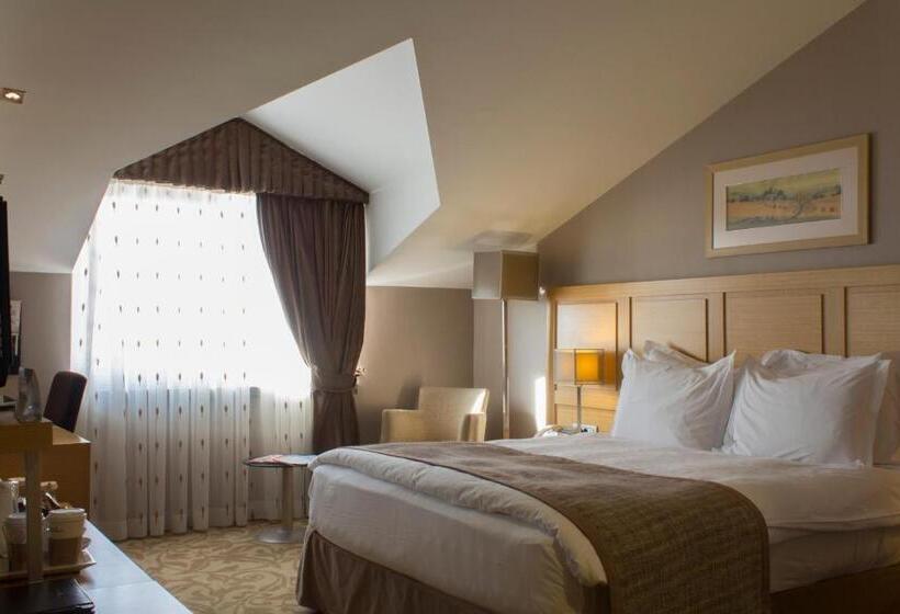 اتاق پنت هاوس, Bilkent Hotel And Conference Center