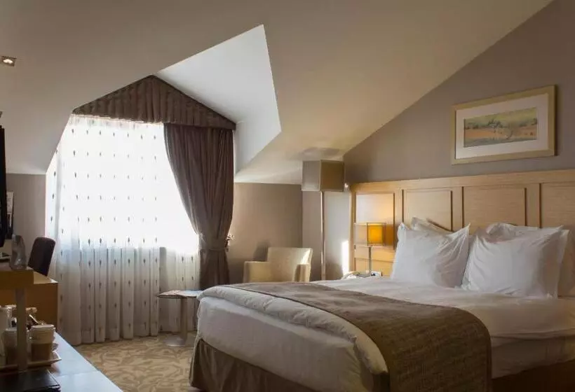 اتاق پنت هاوس, Bilkent Hotel And Conference Center