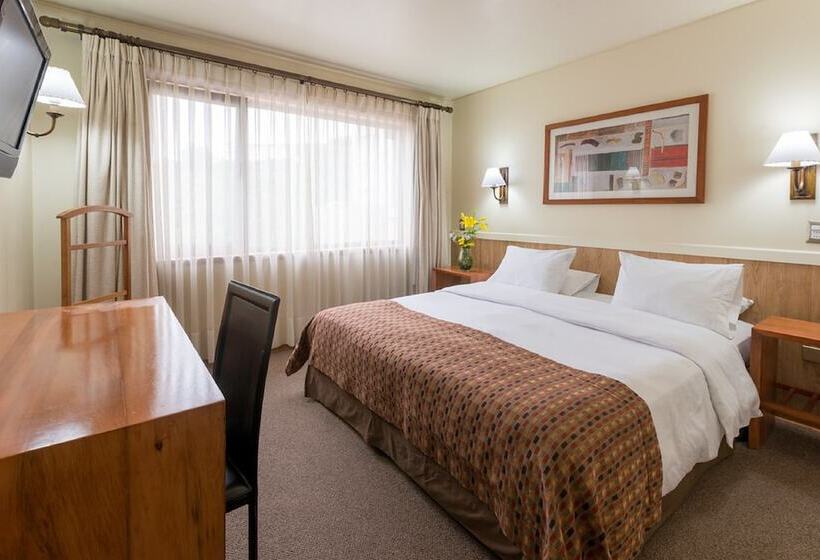 エクゼクティブルーム, Don Luis Puerto Montt