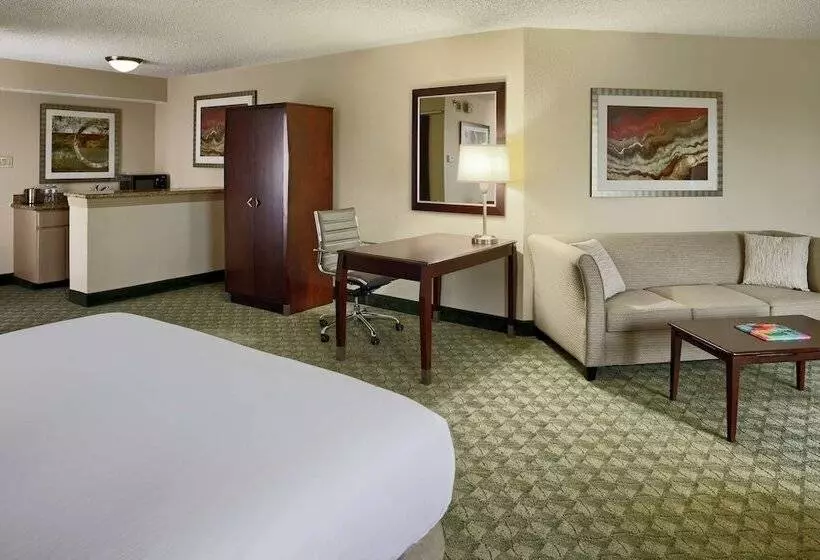 バルコニー付きジュニアスイート, Doubletree By Hilton San Antonio Downtown
