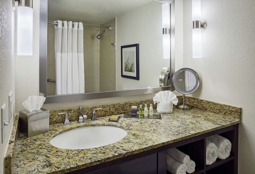 ２ダブルベッドのスタンダードルーム, Doubletree By Hilton San Antonio Downtown