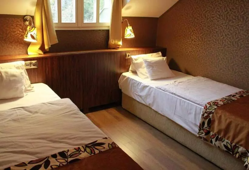 スタンダードルーム, Villa Székely