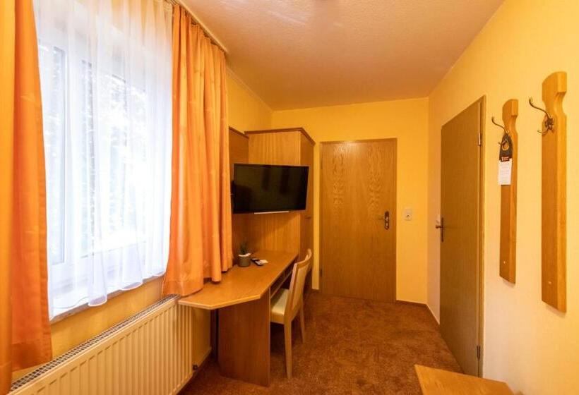 エコノミーシングルルーム, Zum Steinhof