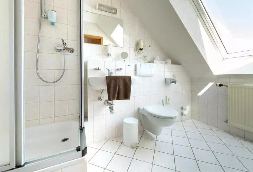 Standard-huone, Zum Steinhof