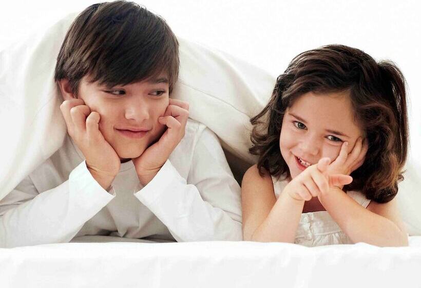 이그제큐티브 룸, Novotel Belfort Centre Atria