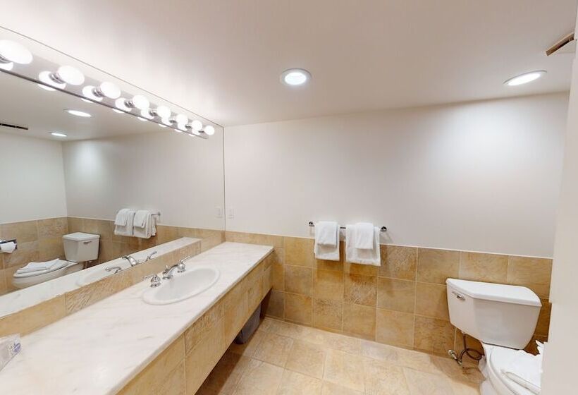 استودیوی استاندارد, Le Chamois By Whistler Premier