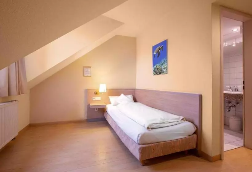 Standard Yhden Hengen Huone, Akzent Hotel Aufkirchen