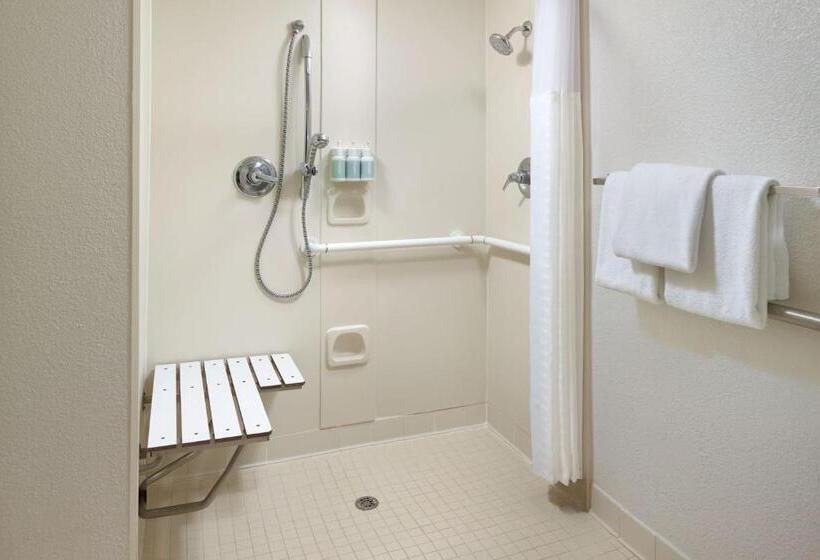 스탠다드 룸 킹사이즈 침대, Courtyard Orlando International Drive/convention Center
