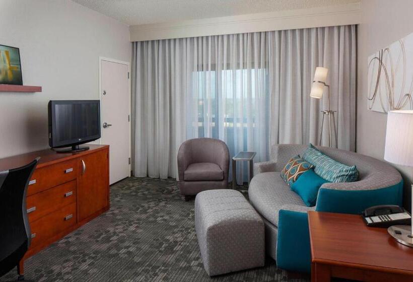سوئیت با تخت بزرگ, Courtyard Orlando International Drive/convention Center
