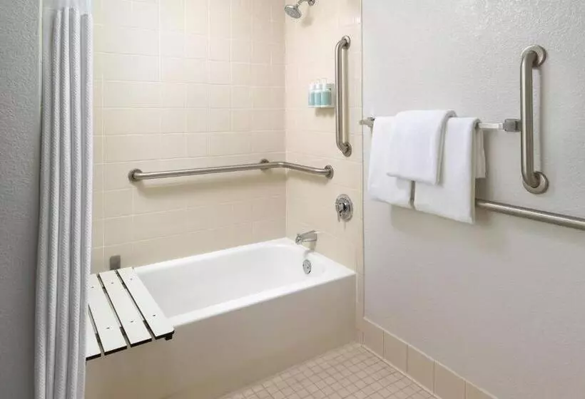 اتاق استاندارد با 2 تخت دوبل, Courtyard Orlando International Drive/convention Center