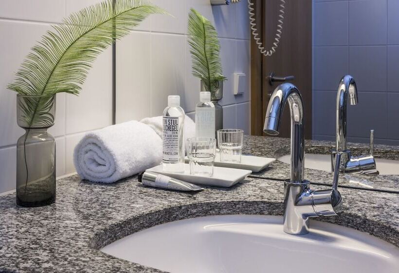 스탠다드 싱글 룸, Seehotel Friedrichshafen