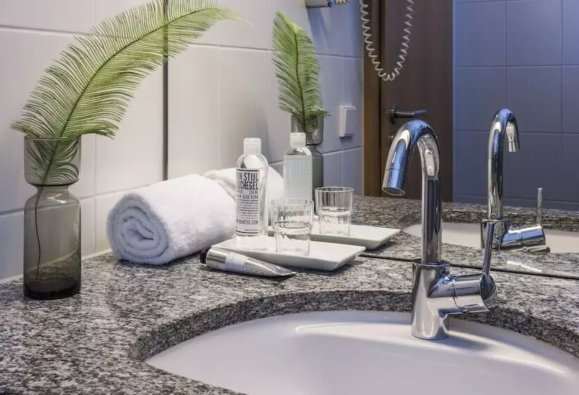 اتاق استاندارد یک نفره, Seehotel Friedrichshafen
