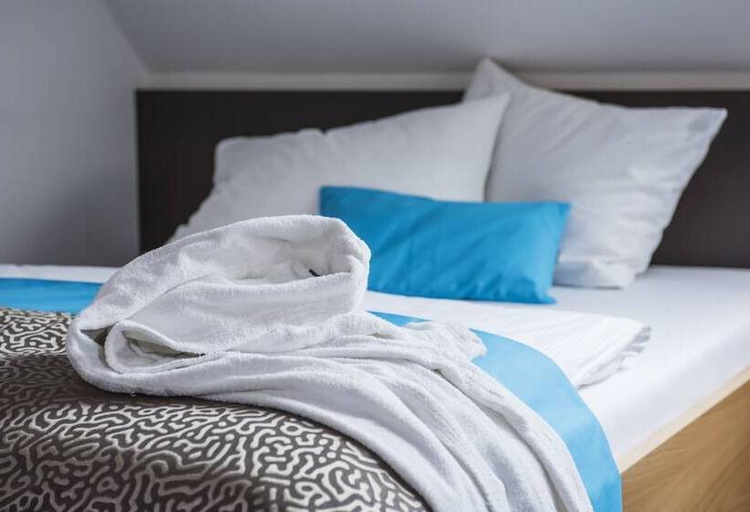 컴포트 싱글 룸, Seehotel Friedrichshafen