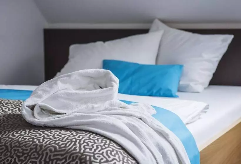 اتاق راحتی یک تخته, Seehotel Friedrichshafen