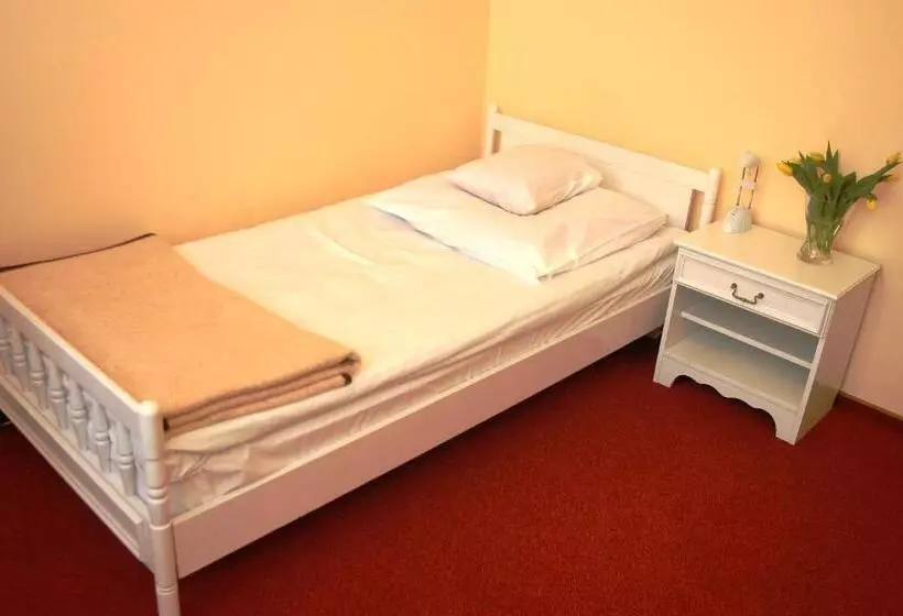 Standard Yhden Hengen Huone, Zamek Królewski W Rydzynie