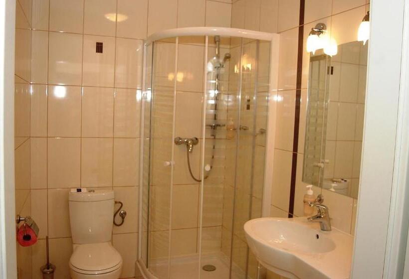 Номер Стандарт Индивидуальный, Zamek Królewski W Rydzynie