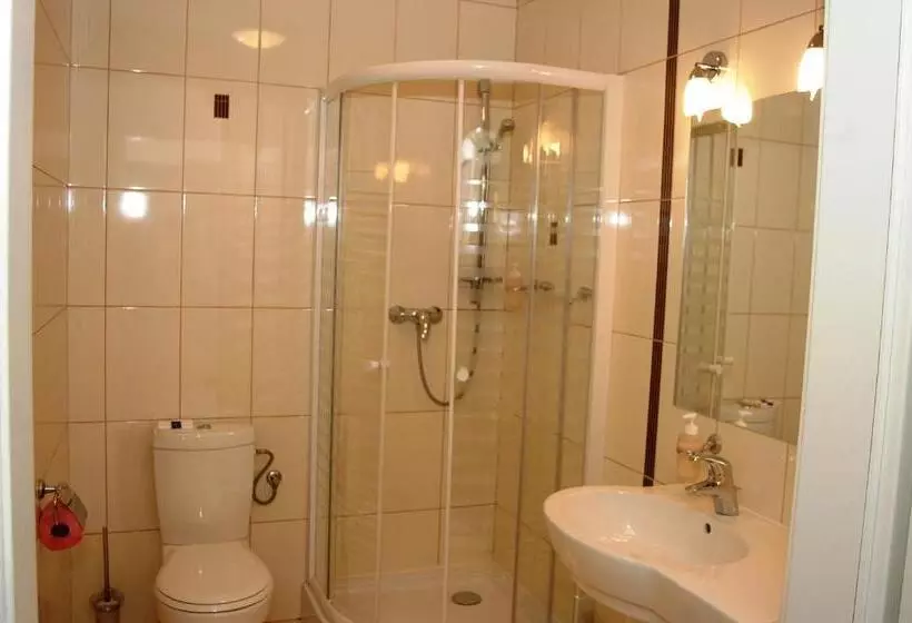 Standard Yhden Hengen Huone, Zamek Królewski W Rydzynie