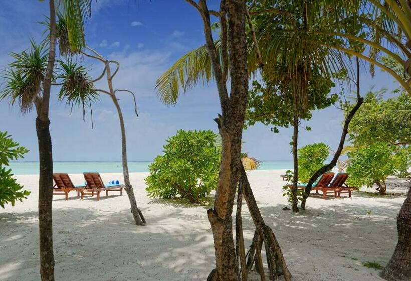 Вилла 1 Спальня, Villa Park Sun Island Resort