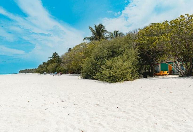 Вилла 1 Спальня, Villa Park Sun Island Resort