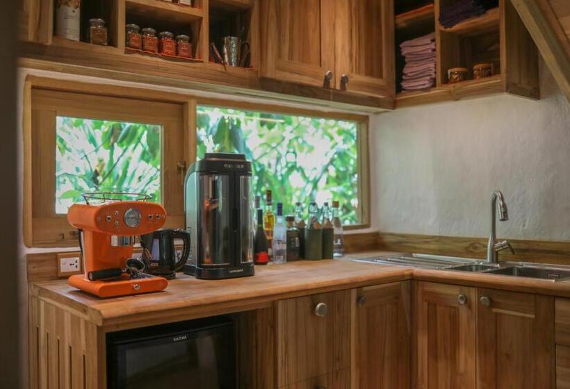 2 Bedroom Apartment with Pool, Soneva Fushi