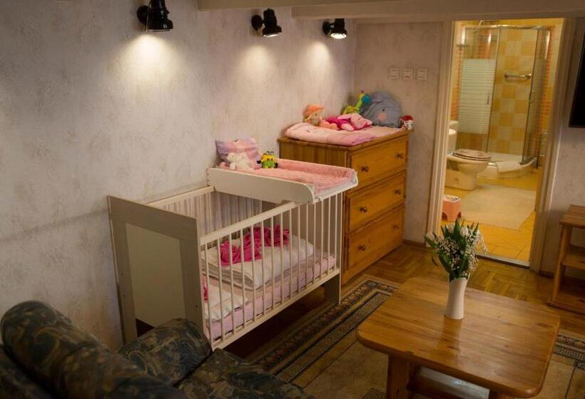 آپارتمان 1 خوابه, Centrum Panzió