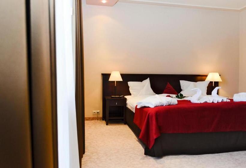 Апартаменты 1 Спальня с Видом, Kudowa Manufaktura Relaksu