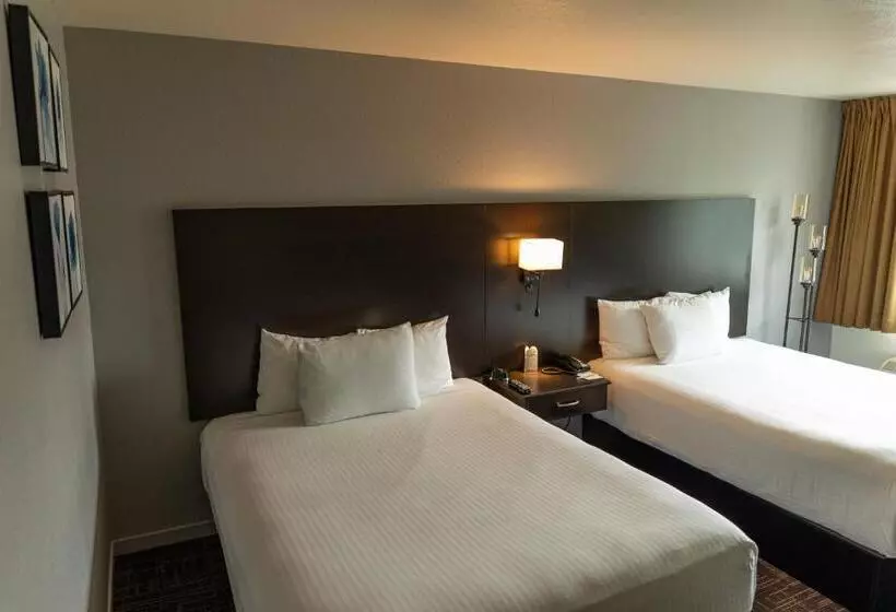 اتاق استاندارد, Lake Natoma Inn