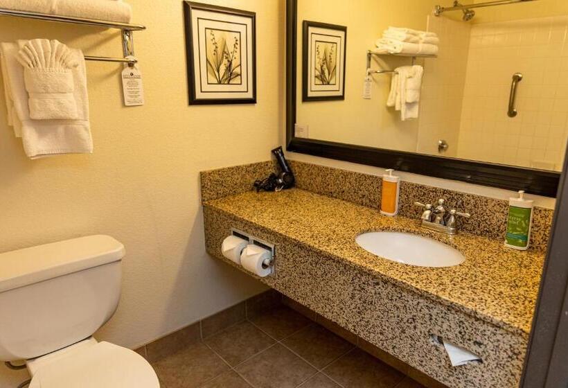 带大床的行政房间, Lake Natoma Inn