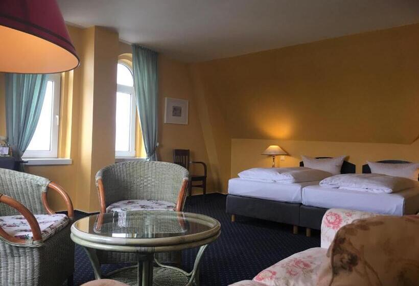 可观海景的舒适型房间, Np Hotel Schweriner Hof