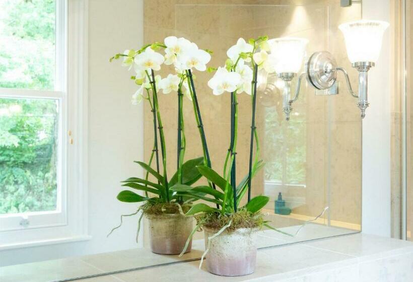 غرفة سوبيريور, The White Horse Inn