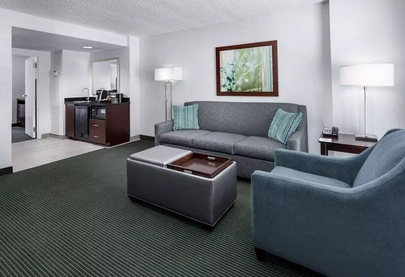 スイート, Embassy Suites By Hilton Orlando Lake Buena Vista Resort