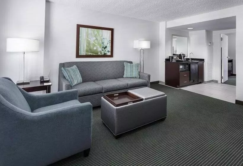 スイート, Embassy Suites By Hilton Orlando Lake Buena Vista Resort