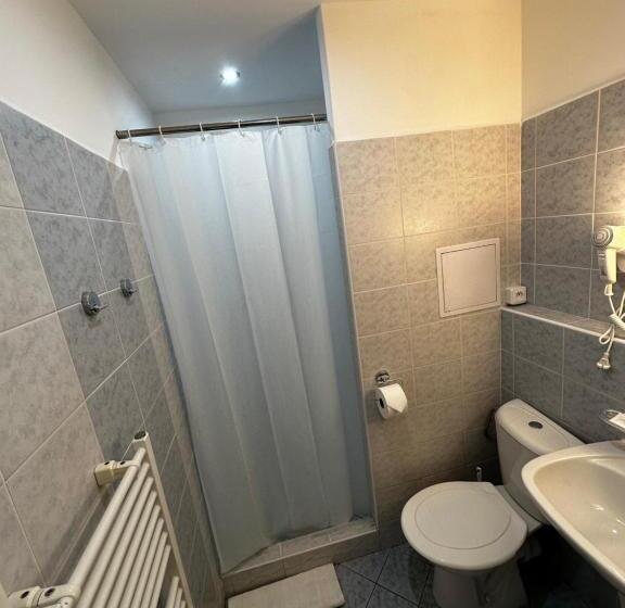 חדר סטנדרט לארבעה, Horský Hotel Jelenovská S Bazénem V Ceně