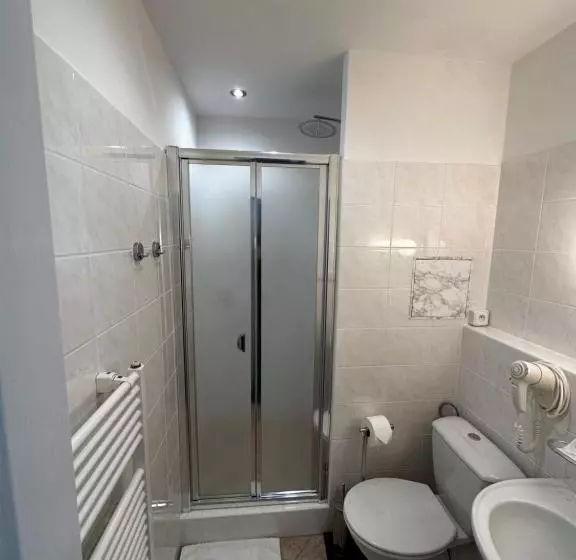 マウンテンビュースタンダードルーム, Horský Hotel Jelenovská S Bazénem V Ceně