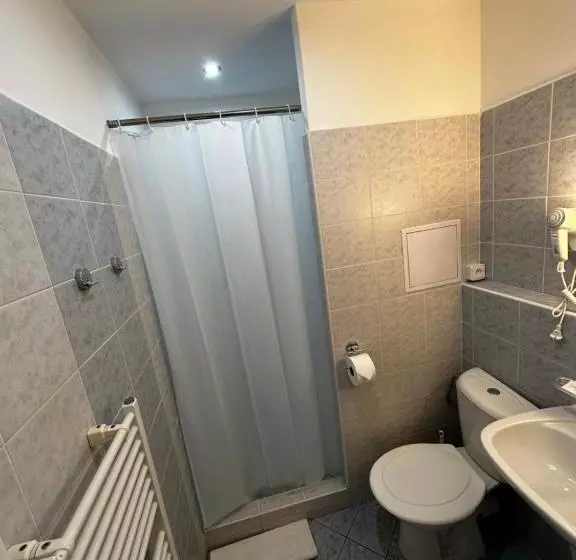 １ベッドルームアパートメント, Horský Hotel Jelenovská S Bazénem V Ceně