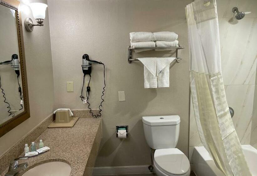 스탠다드 룸 킹사이즈 침대, Clarion Pointe Atlanta Airport College Park