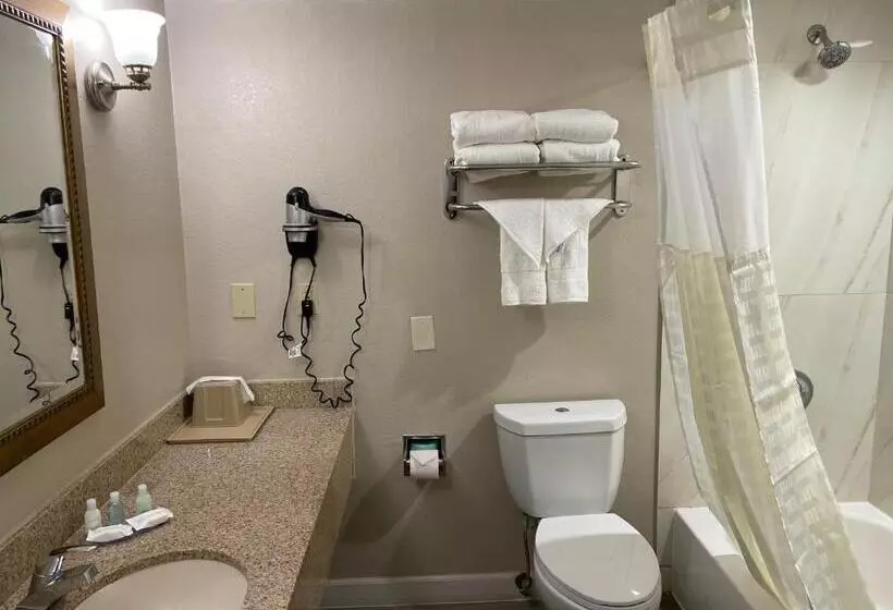 سوئیت با تخت بزرگ, Clarion Pointe Atlanta Airport College Park