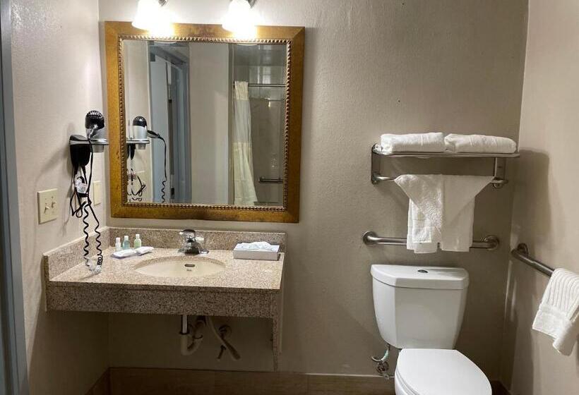 장애인을 위한 킹사이즈 침대 스탠다드 룸, Clarion Pointe Atlanta Airport College Park