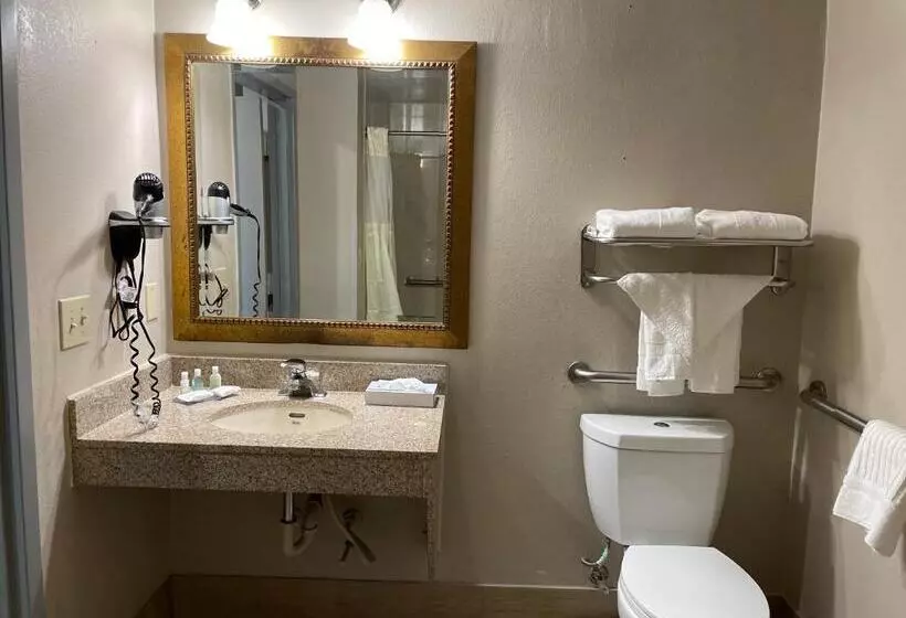 اتاق استاندارد با تخت بزرگ برای معلولان, Clarion Pointe Atlanta Airport College Park