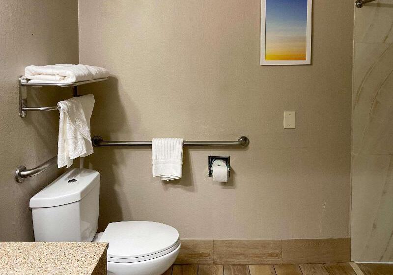 适合残疾人士使用的带超级大床的标准间, Clarion Pointe Atlanta Airport College Park