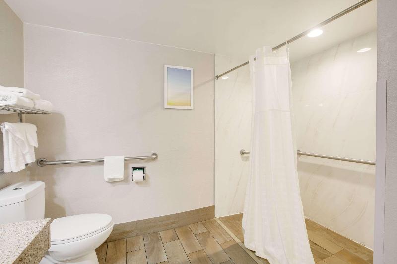 장애인을 위한 킹사이즈 침대 스탠다드 룸, Clarion Pointe Atlanta Airport College Park