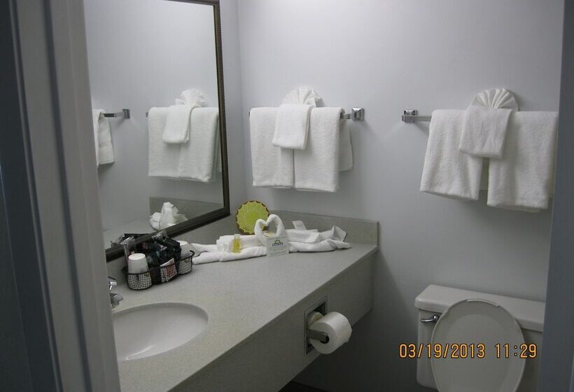 غرفة قياسية سرير مزدوج مطلة على البحر, Days Inn By Wyndham Daytona Oceanfront